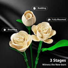 Kit de montage pour bouquet de roses blanches avec éclairage